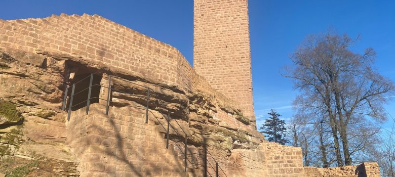 Bild: Burg Scharfenberg (Münz)