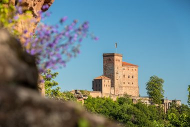 Bild: Ansicht der Burg Trifels